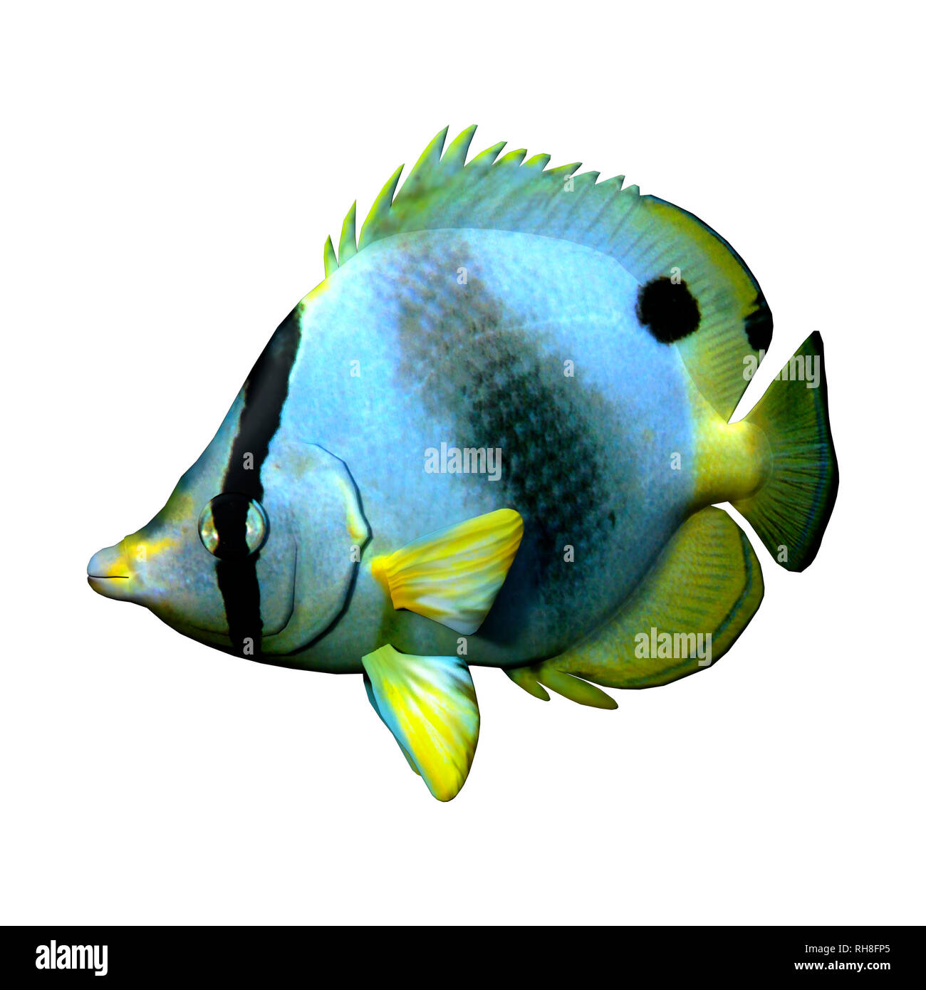 3d Rendering Of A Butterflyfish Or Bannerfish Or Coralfish