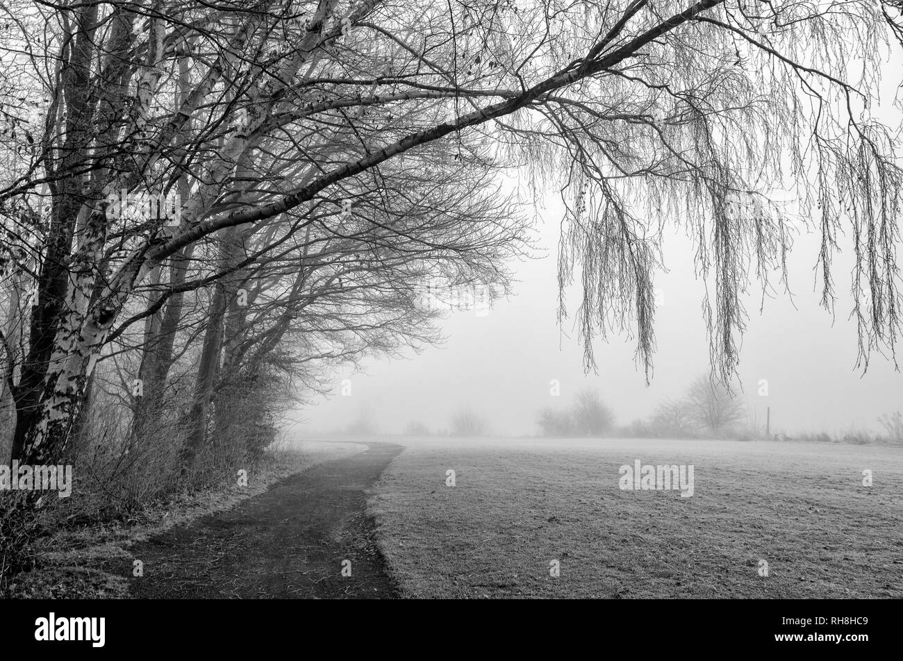 A bitterly cold winter morning at Colwick Park in Nottingham