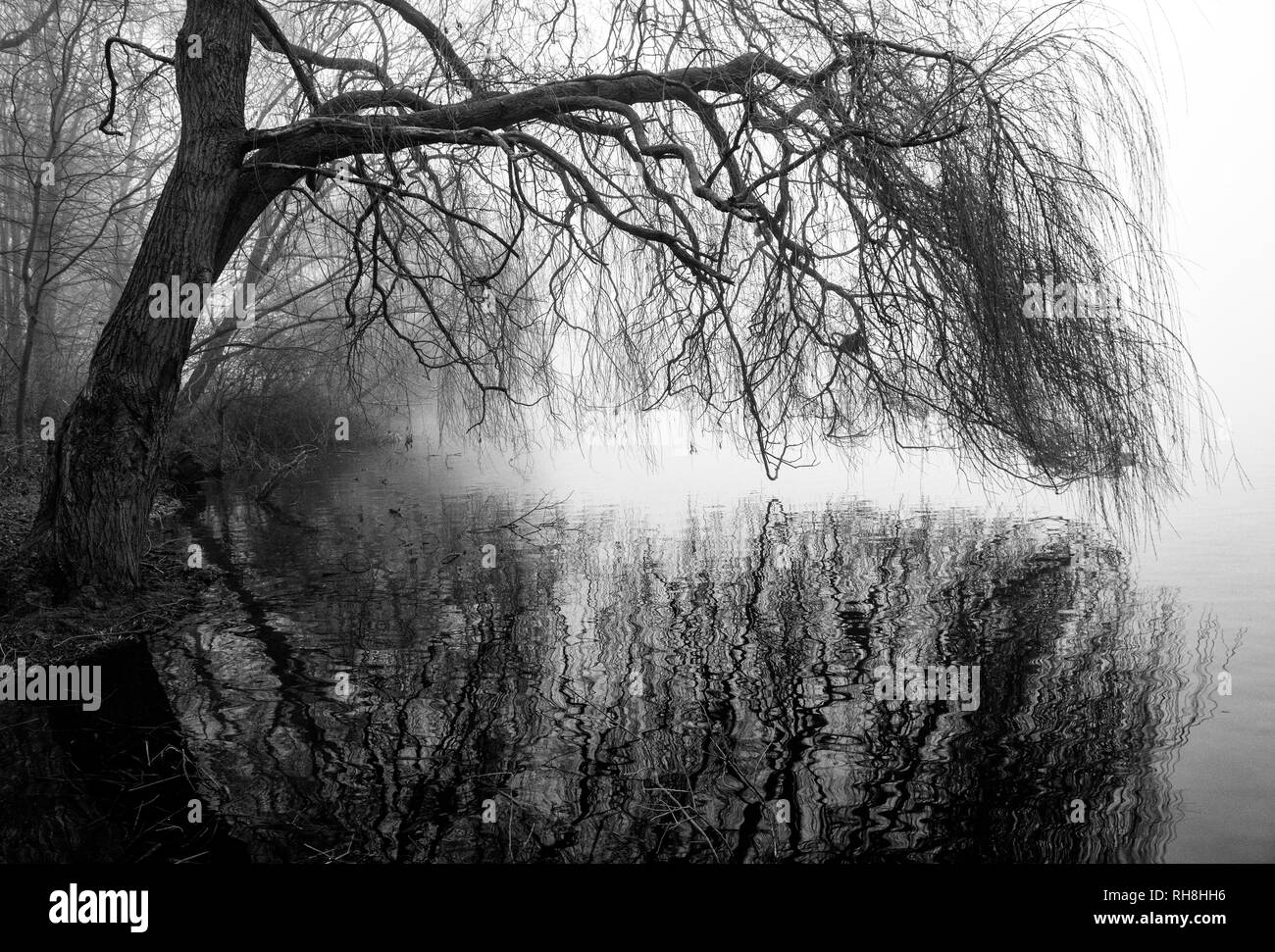 A bitterly cold winter morning at Colwick Park in Nottingham