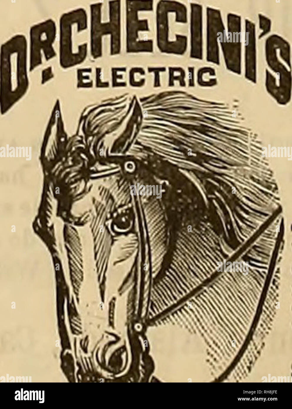 Breeder and sportsman. Horses. HOTEL LANGHAM Corner Ellis and Mason Sts.,  S. F. JOHN P.GALLAGHER, PROPRIETOR REMODELED AND REFURNISHED ELEVATOR  SERVICE ALL NIGHT AMERICAN AND EUROPEAN PLANS HATFS- Anmrlran Plan 83