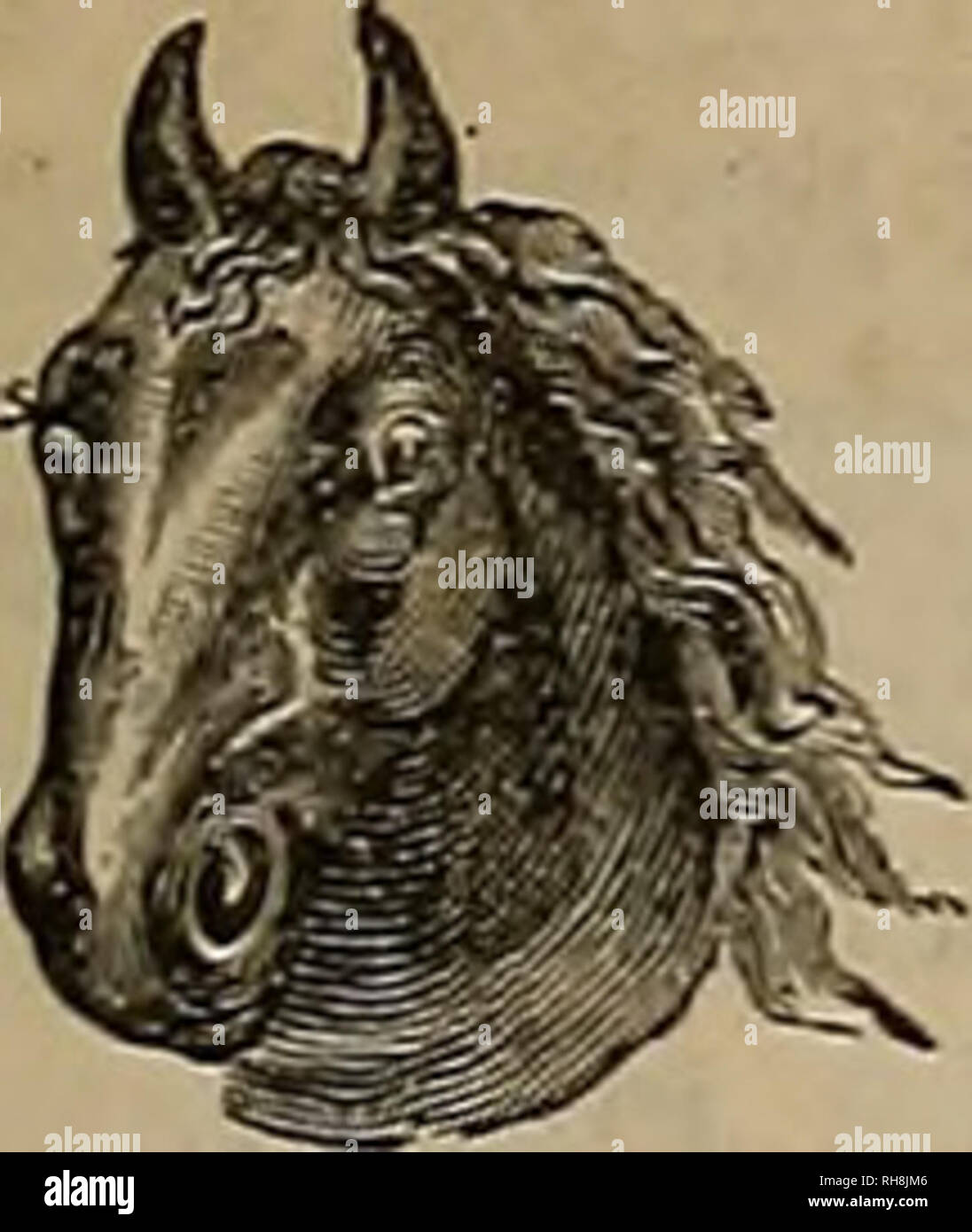 Thoko hi-res stock photography and images - Alamy