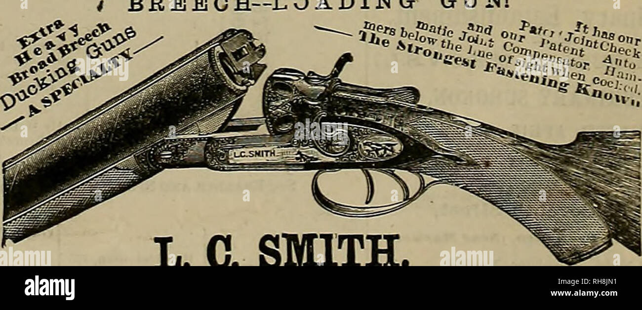 Breeder and sportsman. Horses. Largest Stock on the Coast. FRI4 ES LOW  Write Tor Catalogue. L. C. SMITH' Top Action, Double Cross-Bolted BREECH--  LOADING GUN!. 2* ? 8 SS' IN â *.