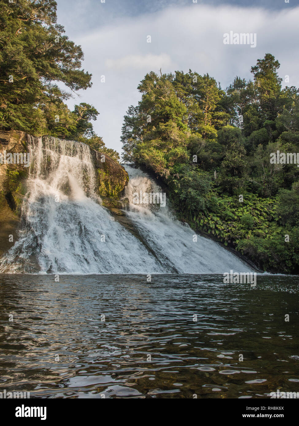 Aniwaniwa Stream Waterfall, Te Urewera National Park, North Island, New Zealand Stock Photo