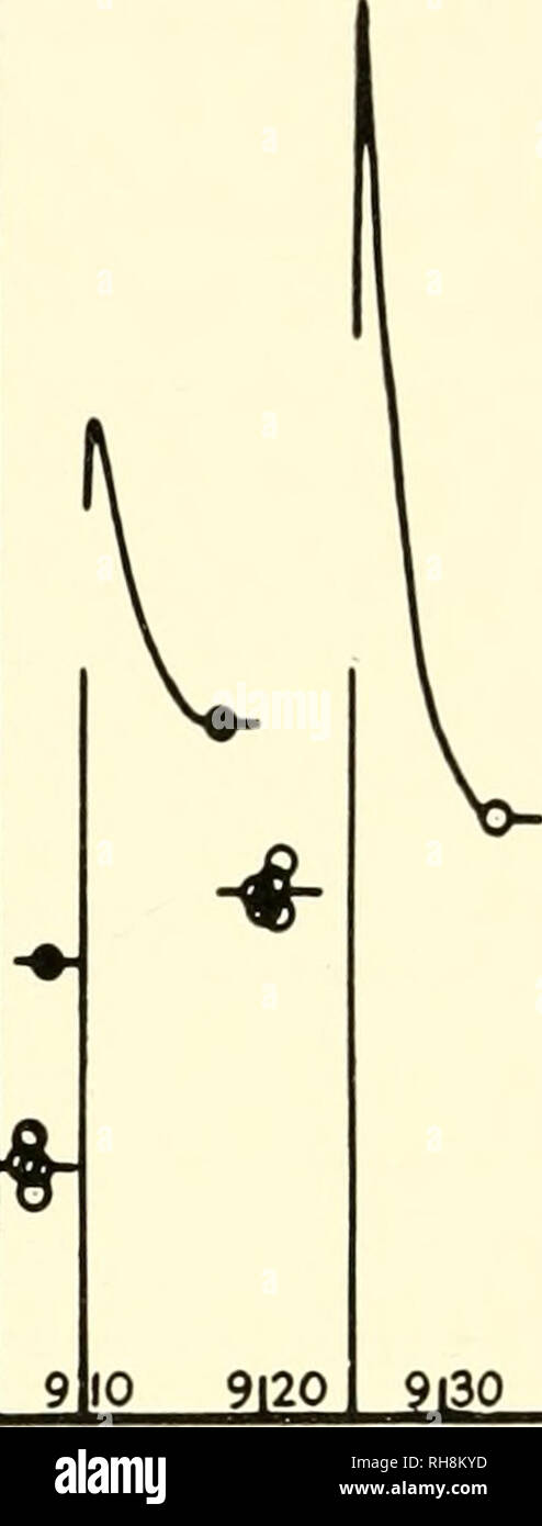 . Brain mechanisms and learning, a symposium. Psychophysiology; Learning, Psychology of. Jl^. 4.0 .ilg M â f. &gt;i50 Fu;. 2 Plotting of post-tetanic potentiation and residual potential as in Fig. iB, but on a much reduced time-scale, note time-scale in hours and minutes on abscissae. Ordinates give sizes of mono- synaptic reflex spike in millivolts. L- and Sj dorsal roots severed extraganglionically 38 days previously. The open circles about 5.50 p.m. give reflex spikes in biceps-semitendinosus nerve in response to single volleys in the combined L- and Sj dorsal roots, and the filled circle t Stock Photo
