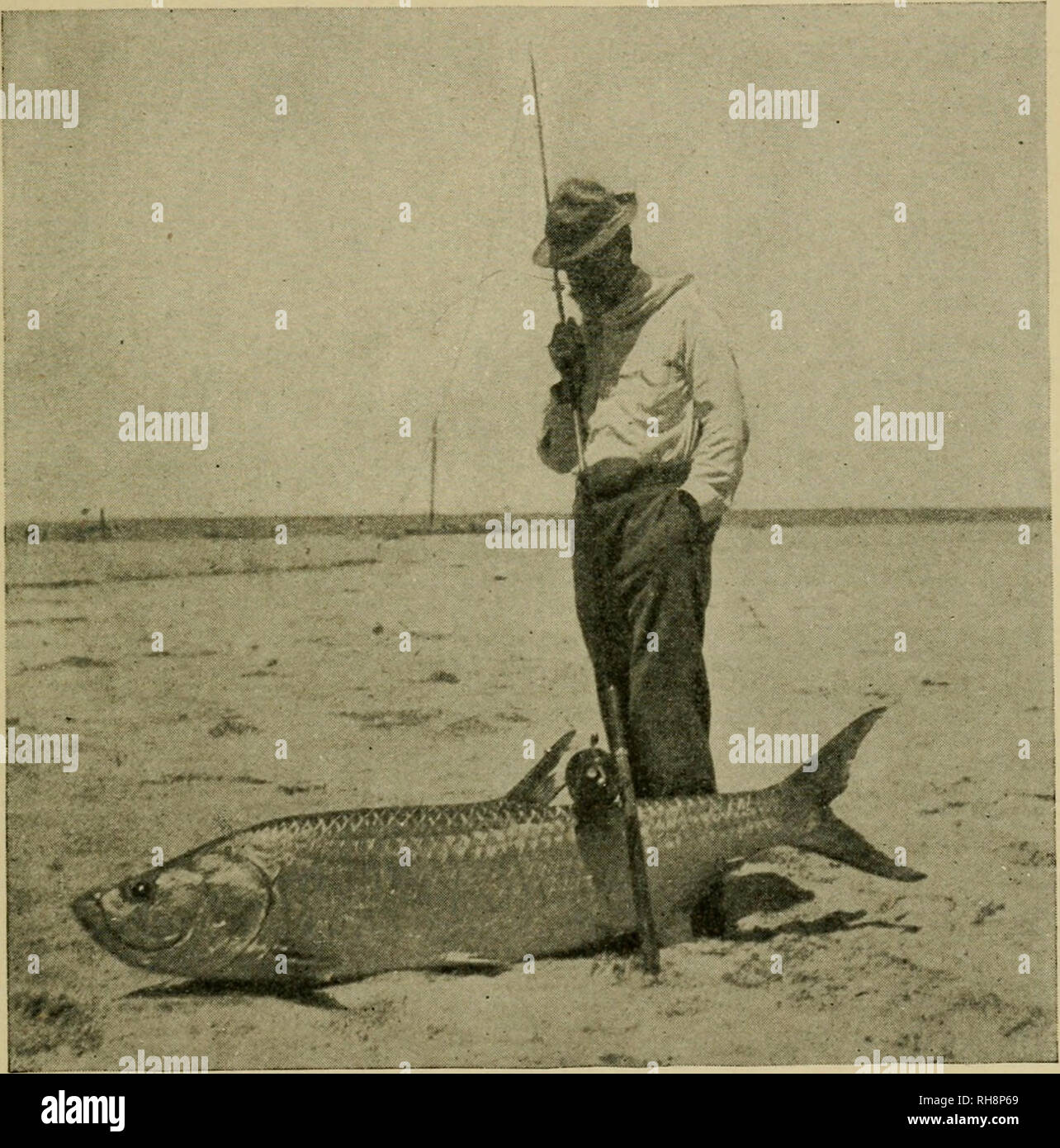 The boy anglers; their adventures in the Gulf of Mexico