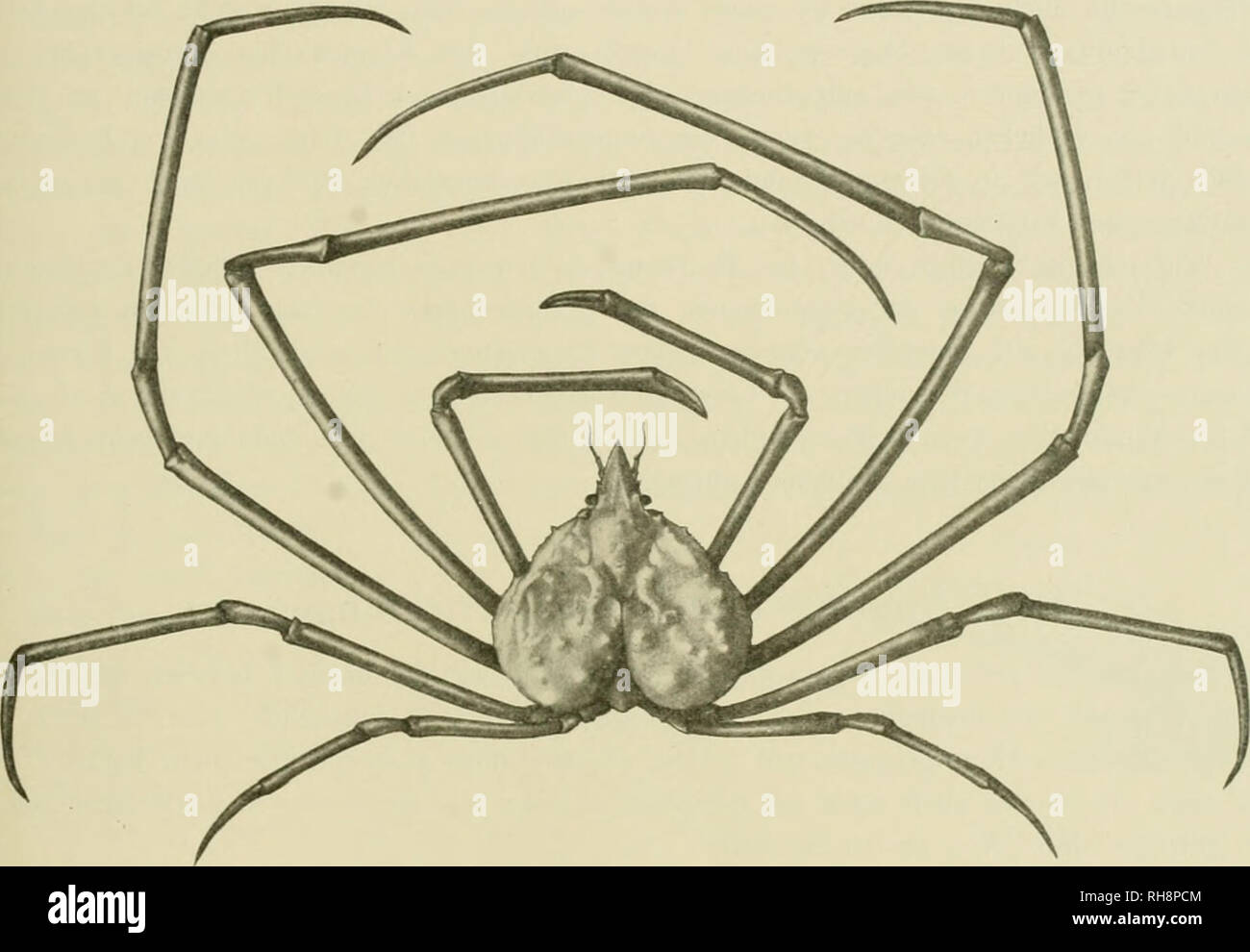 Download Ausnutzen For Free