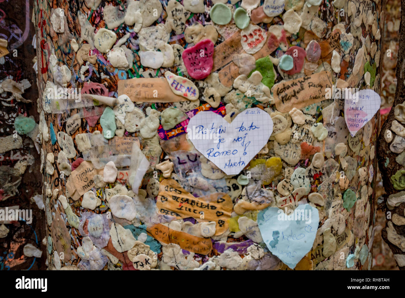 A wall in Verona covered with gum, Italy Stock Photo