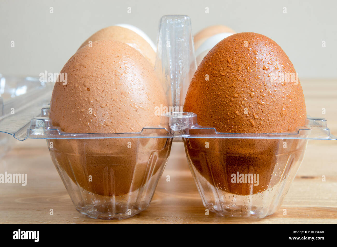Close up of wet clean chicken eggs in a plastic box on a table. Stock Photo