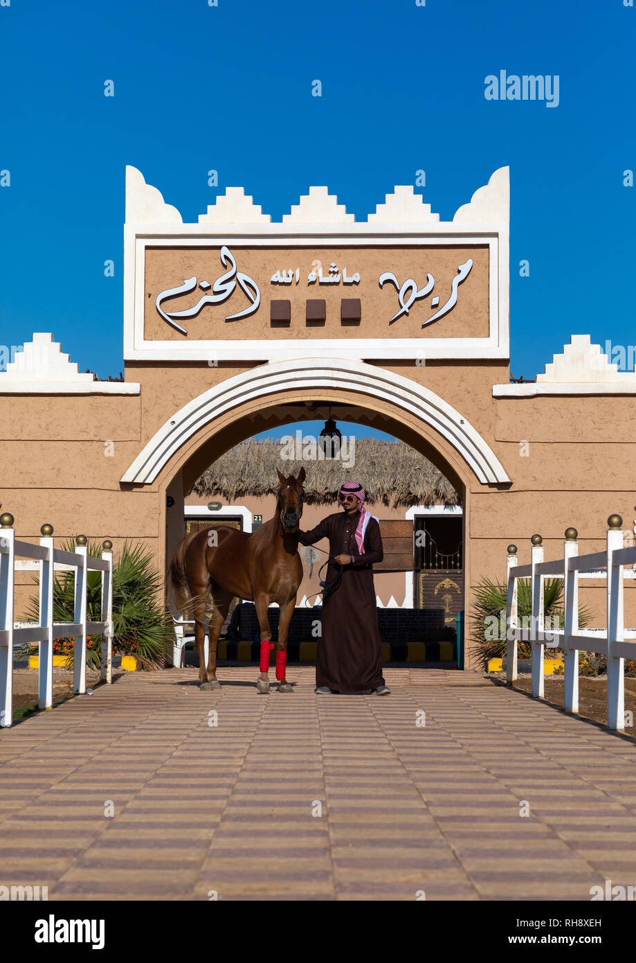 saudi man with his Arabian horse in Alhazm stud, Najran Province, Khubash, Saudi Arabia Stock Photo
