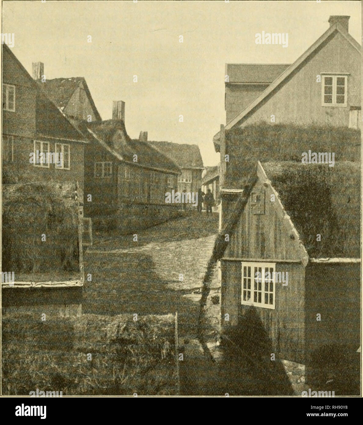 . Botany of the Faeröes, based upon Danish investigations. Botany -- Faroe islands. 1013 placed, as well as the nearness of the houses to the grass-fields favours the development of grasses; the vegetation thus becomes a distinct grass-formation of a rather uniform type. The most frequent grasses on the roofs in Thorshavn, for example, were Agrostis val-. Fig. 195. Street in Thorshavn showing grass-vegetation on the roofs. (Krom photo. by H. G. Simmons). garis and Festuca riibra. They occurred either as pure growths or mixed together, occasionally with small patches of Holcus mollis, Anthoxant Stock Photo