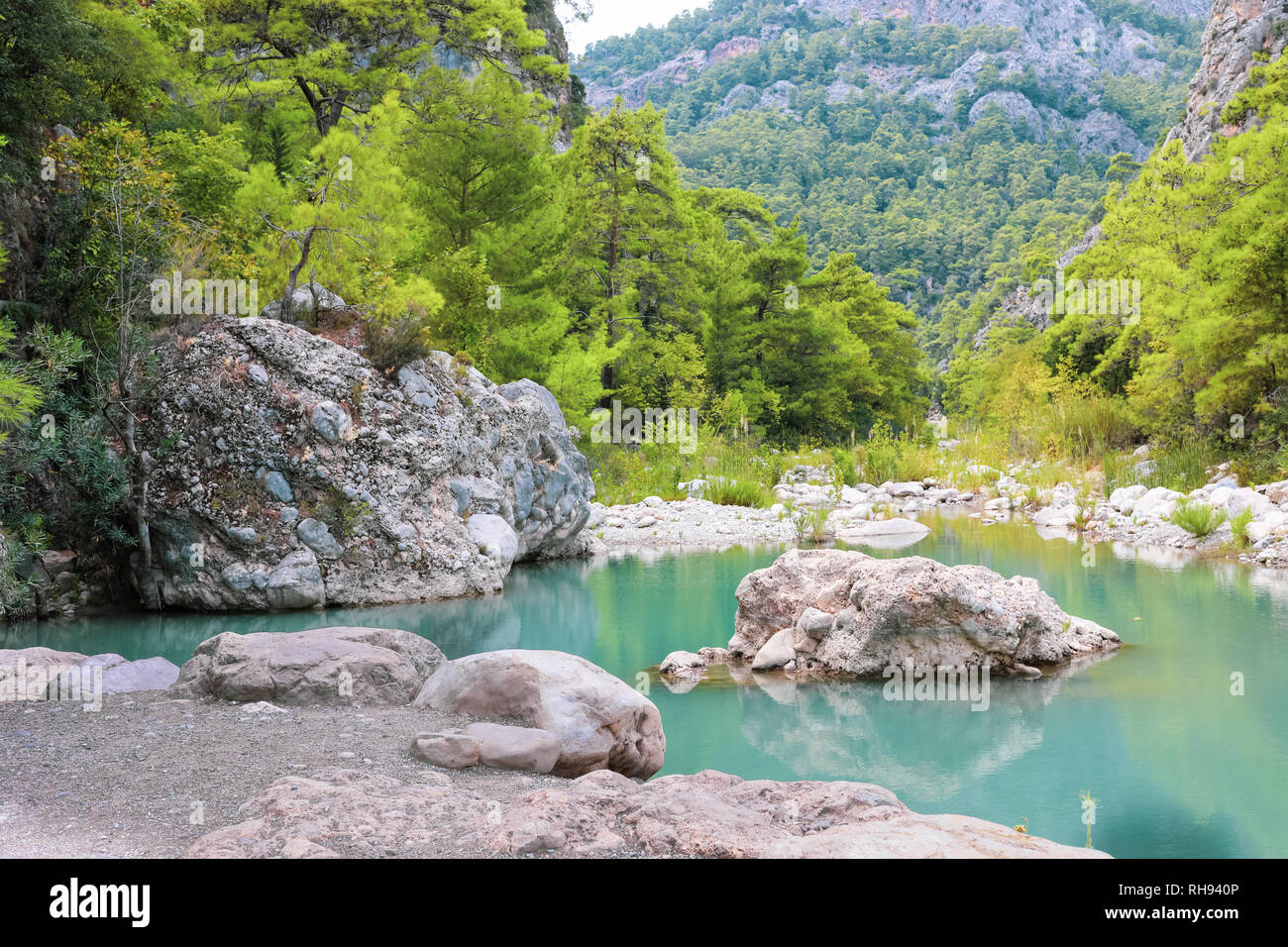 Small pond in middle forest hi-res stock photography and images - Alamy