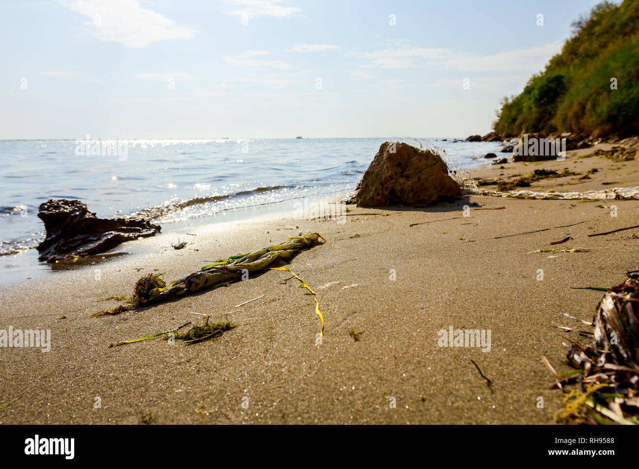 Plastic garbage is washed up by the sea on sandy beach Stock Photo - Alamy