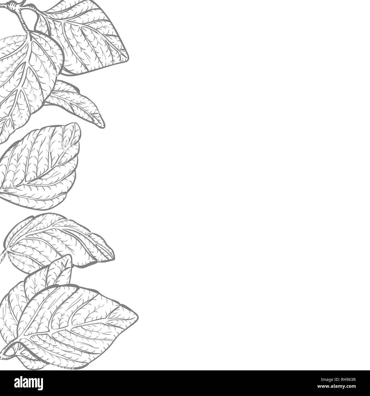 My Image 10
