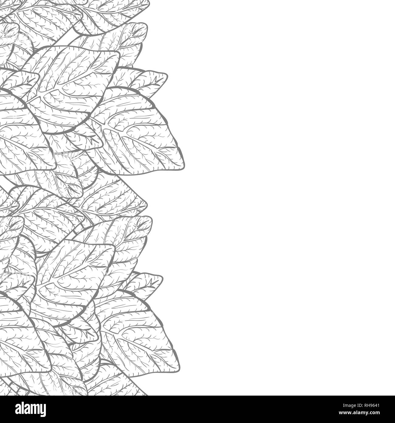 Vector background - nature foliage leaves border frame with copy space ...