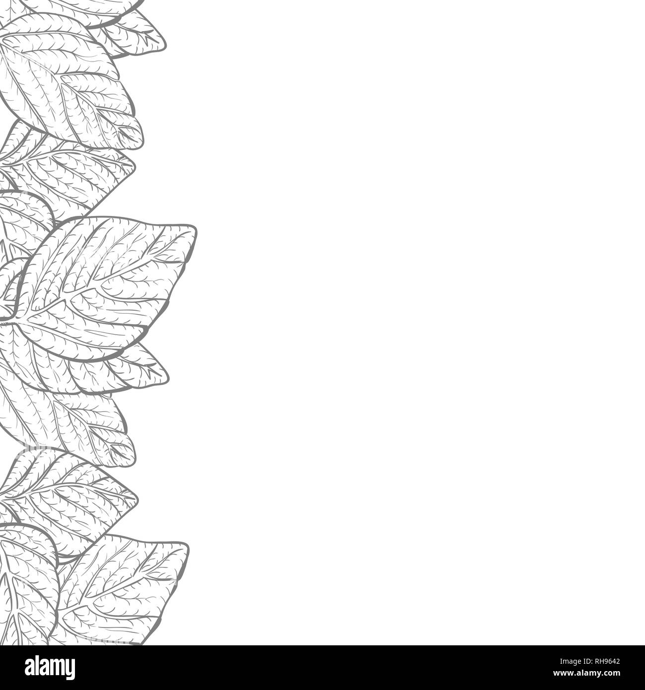 Vector background - nature foliage leaves border frame with copy space ...
