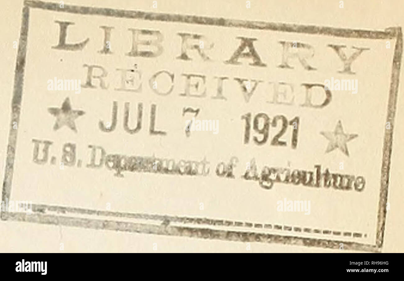 . Botany : current literature. Botany; Bibliography. Libr. Library, Bureau of Plant Industry Current Author Entries, 1921, List 60. Indexed - June 20 - July 2, 1921. Addisonia Addisonia v. 5, no. 4 D. Rosa &quot;Edith Cavell&quot; Rudbeckia laciniata Pens tenon sectrndif lorus Pinus thxsxibe rgi i Fhysalis franchetii Pterostyrax hispida Koelreuteria paniculata Epiphyiium hookeri 1920 [Je, p. 49 P. P- P. P. P- P* P- 51-52 53-54 55-56 57-58 59-60 61-62 63-64 1921] col,pi. 185 col,pi. 186 col.pl. 187 col.pl. 188 col.pl. 189 col,pi. 190 col.pl. 191 col.pl, 197. Agr. Gas. N,S„W. Darnell-Smith, G. P Stock Photo