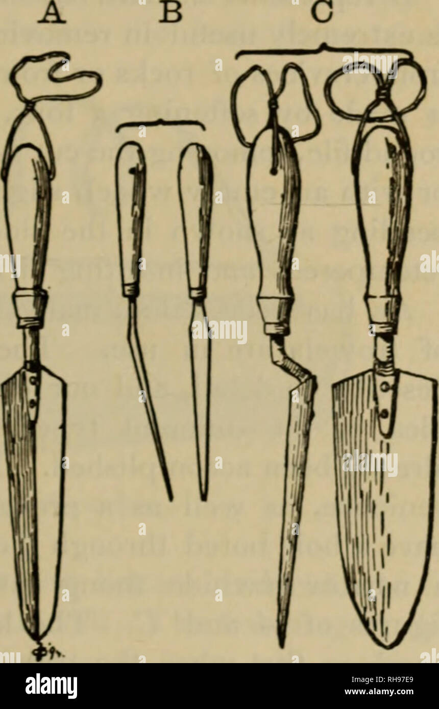 Botanizing : a guide to field-collecting and herbarium work. Botanical  specimens; Herbaria. EQUIPMENT 23 roots, bulbs, and other underground  parts. They vary greatly according to individual caprice or con- venience.  Perhaps