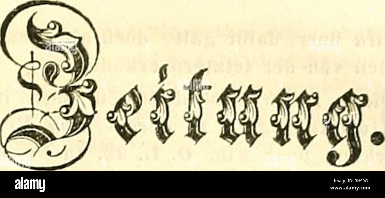 . Botanische Zeitung. Plants; Plants. 8. Jalir^an^. Pen 2. ^tufluft 1850. 31. I§tück. Inhalt• Orig«: v. Flotow Lichenologische Beiträge z. Flora Europaea. — liit.! Godron le genre litiiiiis. — Po- lytechnisches Ccntralblatt. 1850. 5. Lief. — Sturm Deutsclilands Flora. 93. 94. — Samml.: Rabeuhorst d. BacIIlarien Sachsens. 3. — CScI. CrCS.: Naturf. Fr. Z.Berlin.— PcrS. STot.: Schnizlein. — C o r d a. — Moritii. — Jtt« Aot»! Lisiantkus pTinceps.— Buchhändler-Anzeigen. — 569 — 570 — Lichenologische Beiträge zur Flora Europaea. Von J. V. Flotow. m (Beschhiss,) Arthonia fuliginosa Fv. A. crtista ch Stock Photo