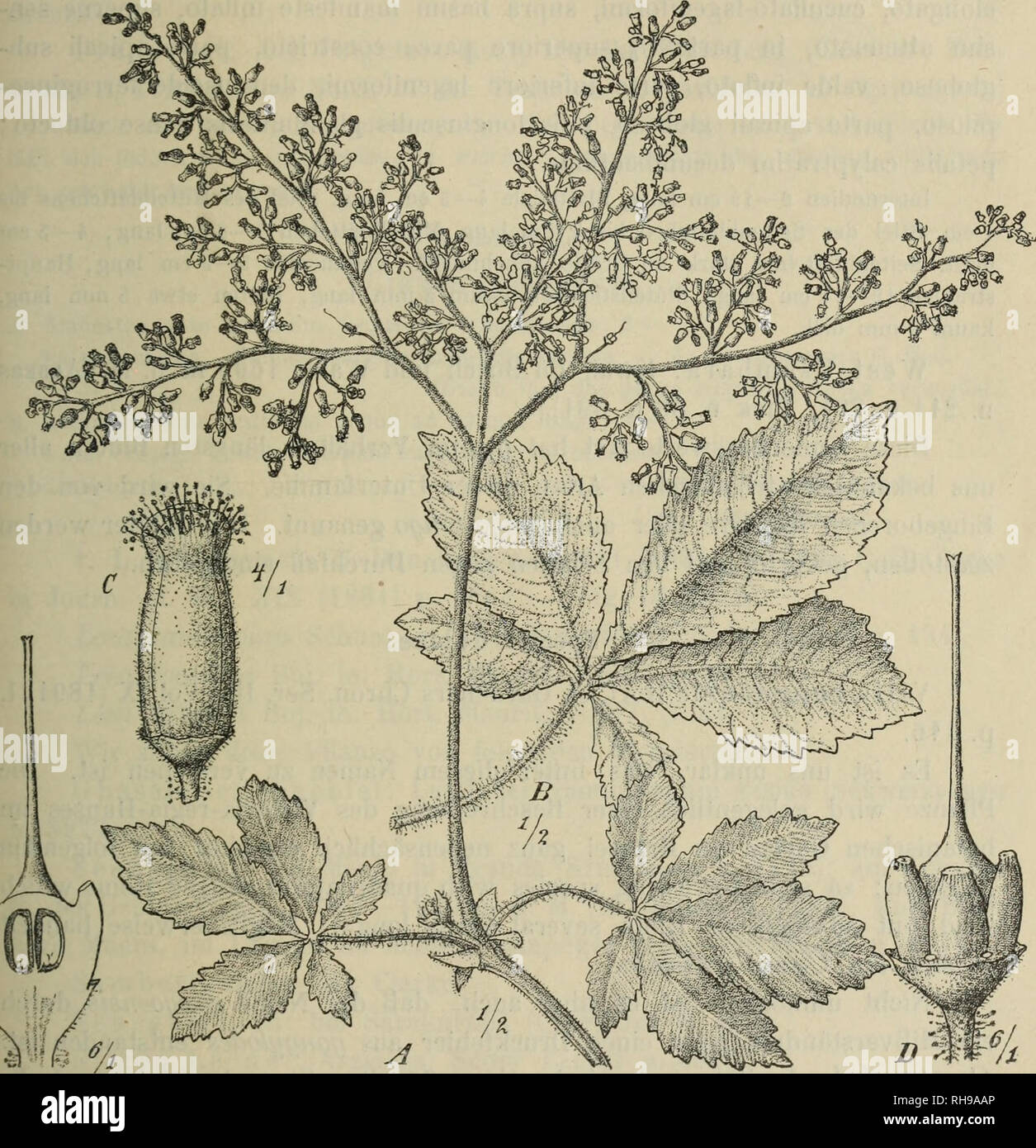 Page 4 545 4 High Resolution Stock Photography And Images Alamy