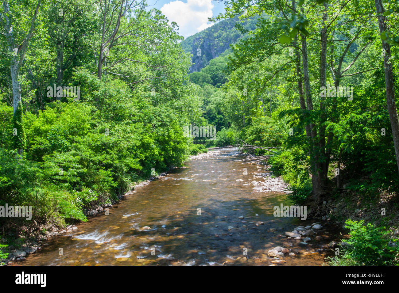 North Fork, South Branch of the Potomac River, West Virginia Stock