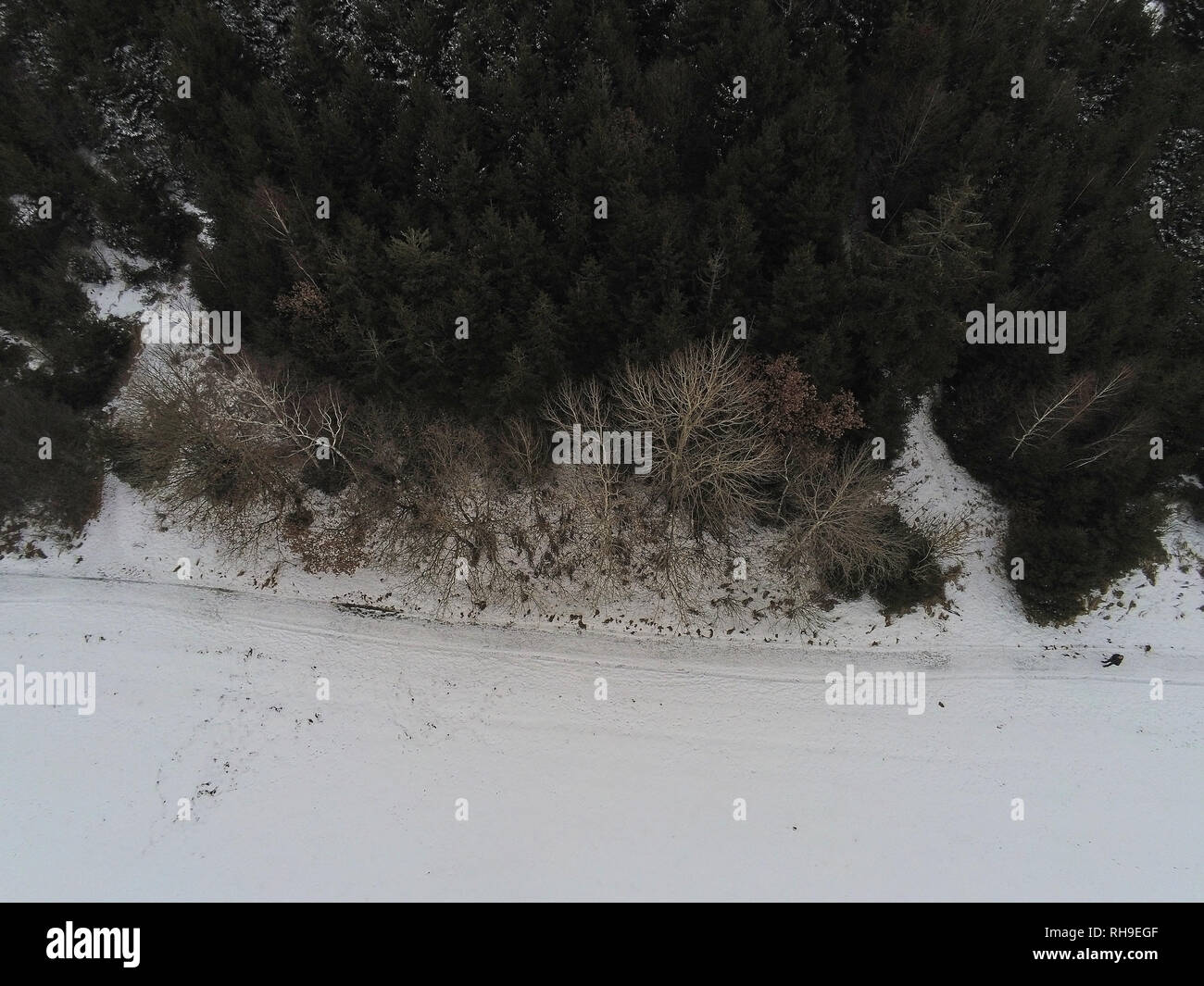 View Over Trees Aerial over small stream in hi-res stock photography and images - Alamy