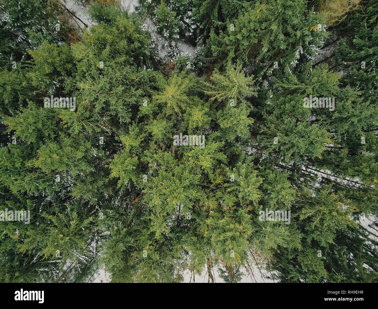 View Over Trees Aerial over snowy pine tree hi-res stock photography and images - Alamy