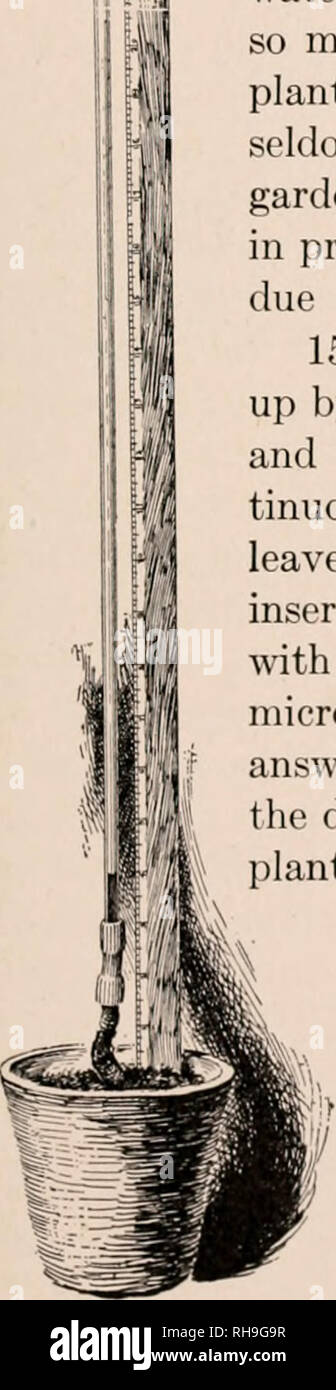 Page 2 Sugar Water Solution High Resolution Stock Photography And Images Alamy