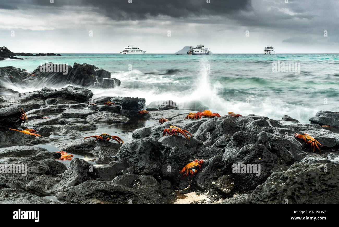 Long exposure of the stormy sea at Las Bachas Beach Galapagos with lots of the colorful Sally Lightfoot Crabs. Stock Photo