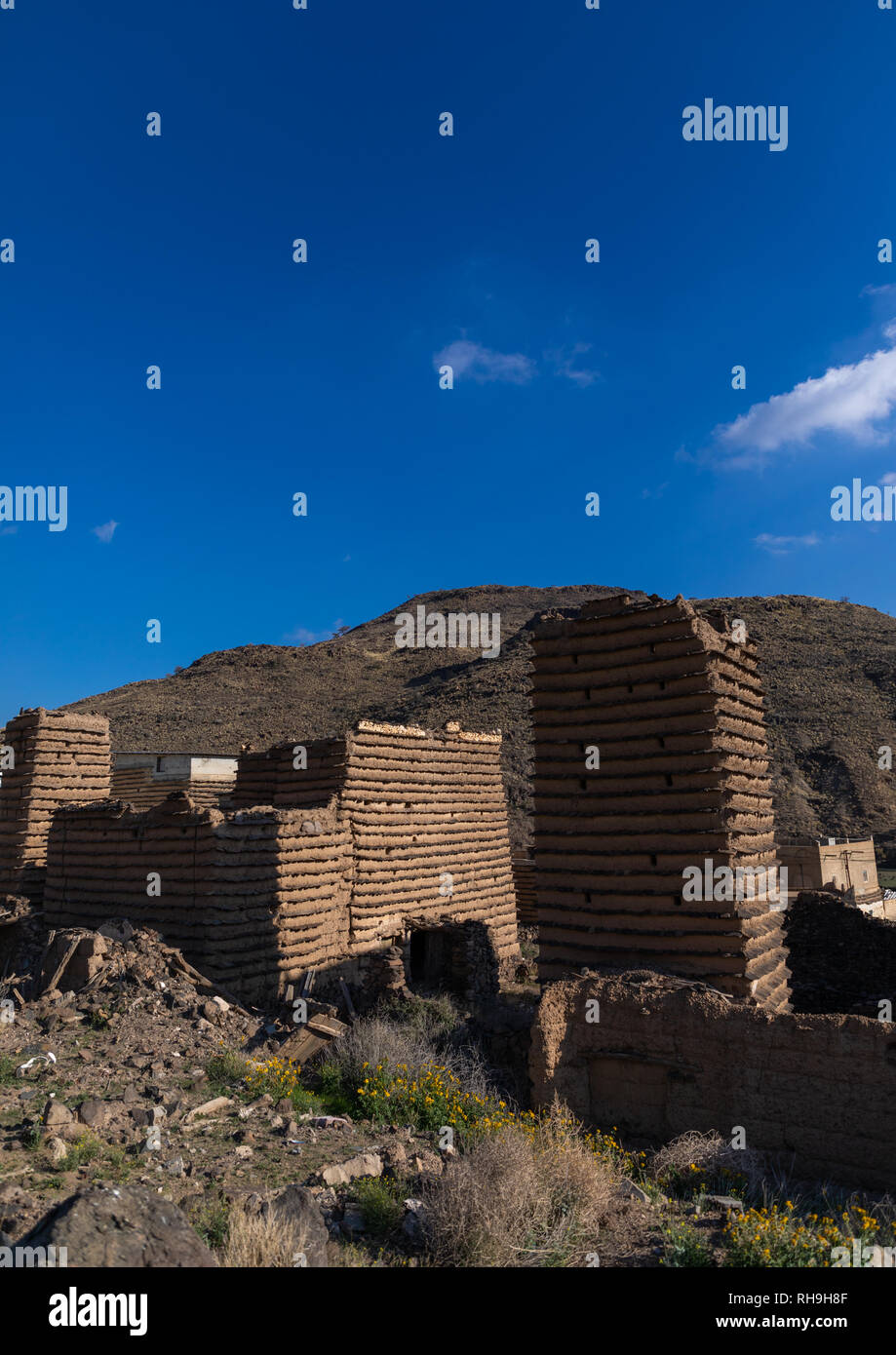 Stone and mud houses with slates, Asir province, Sarat Abidah, Saudi Arabia Stock Photo