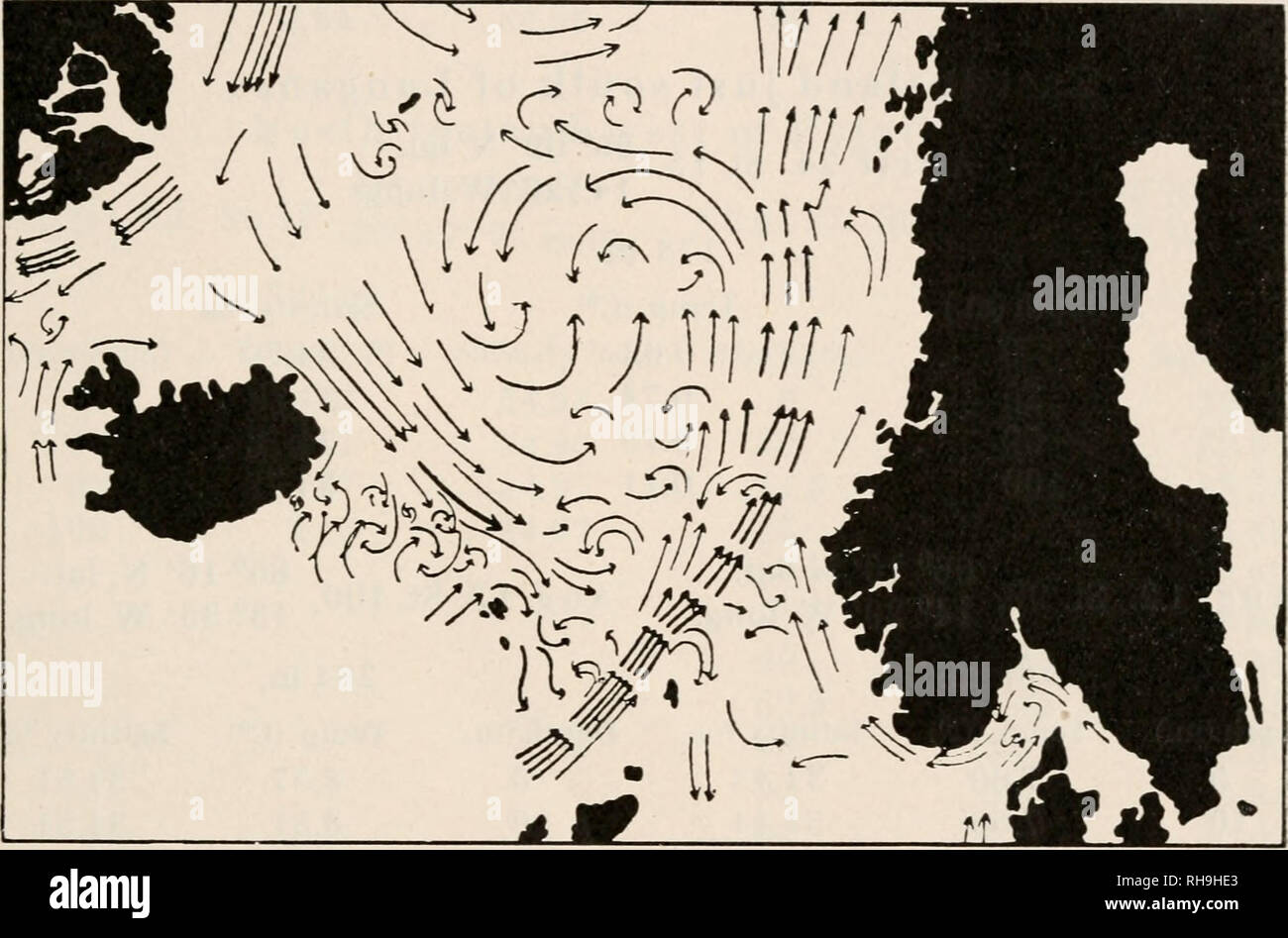 The Botany Of Iceland Botany Iceland Marine Algal Vegetation 31 Iceland A Physiognomy Different From That Of The Surrounding Sea The Distribution Of Temperature Being Different Even If The Tempera
