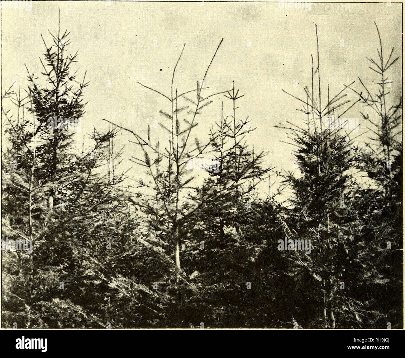 Page 2 Kogler High Resolution Stock Photography And Images Alamy