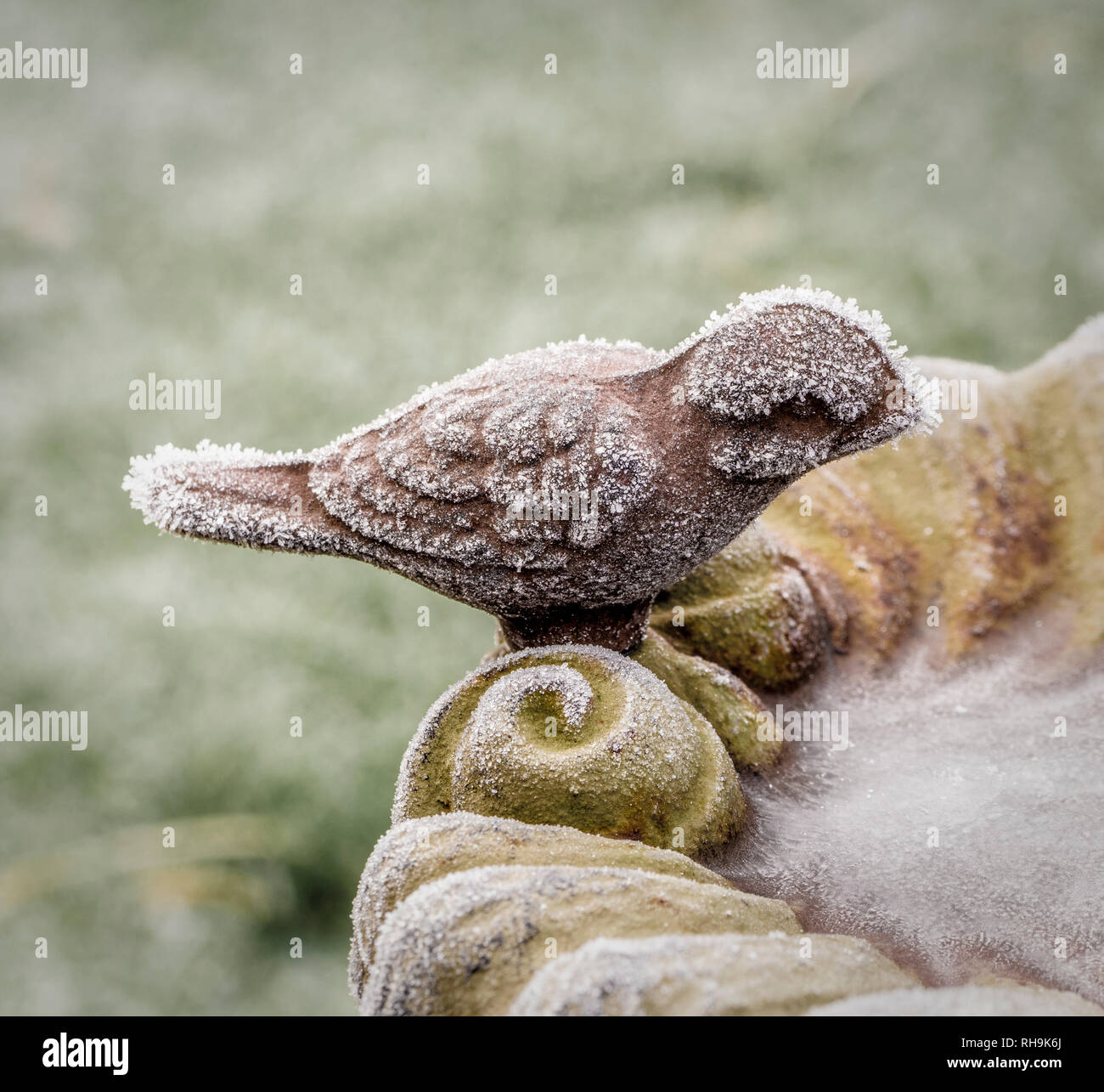 Frozen cast iron birdbath. Stock Photo