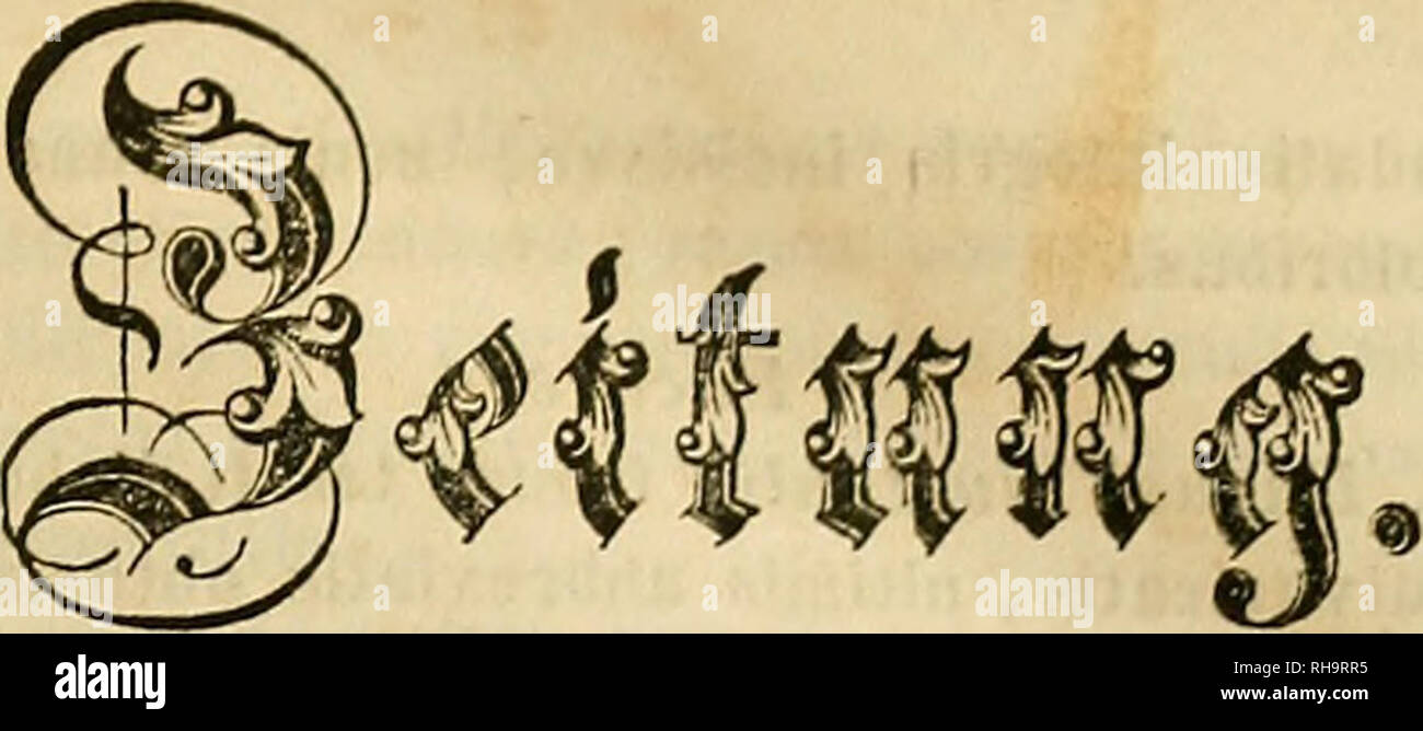 Page 3 Nitidula High Resolution Stock Photography And Images Alamy