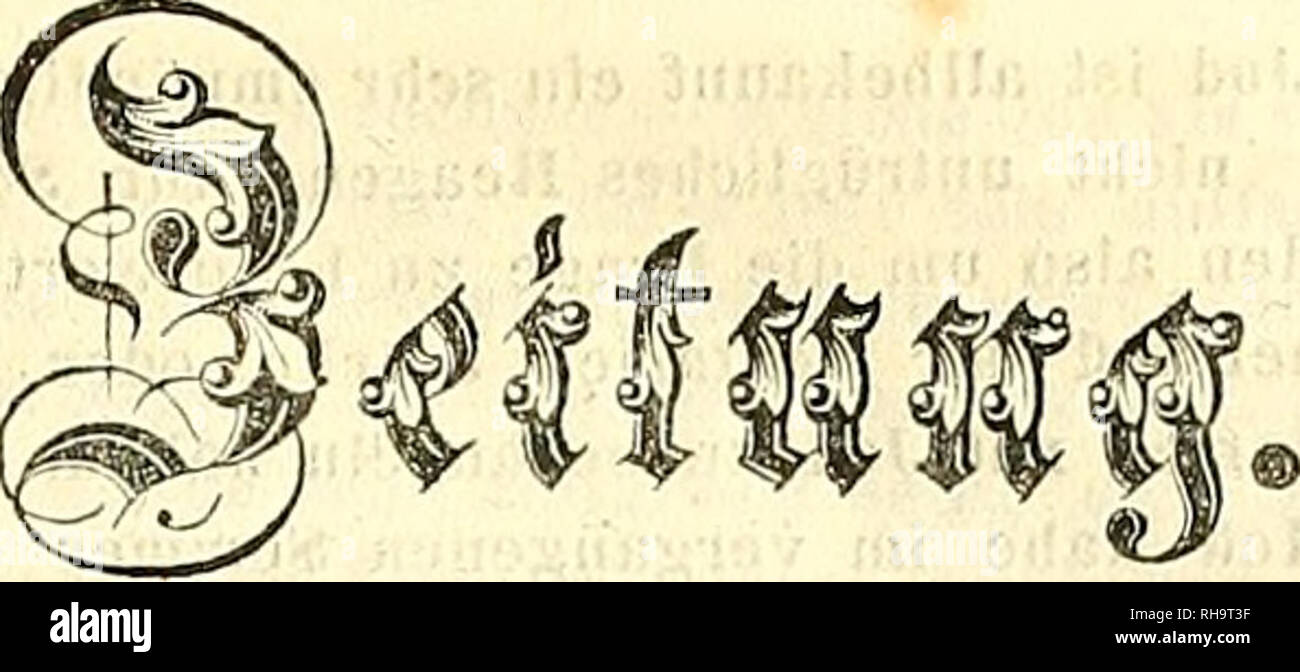 Nektarien hires stock photography and images Alamy