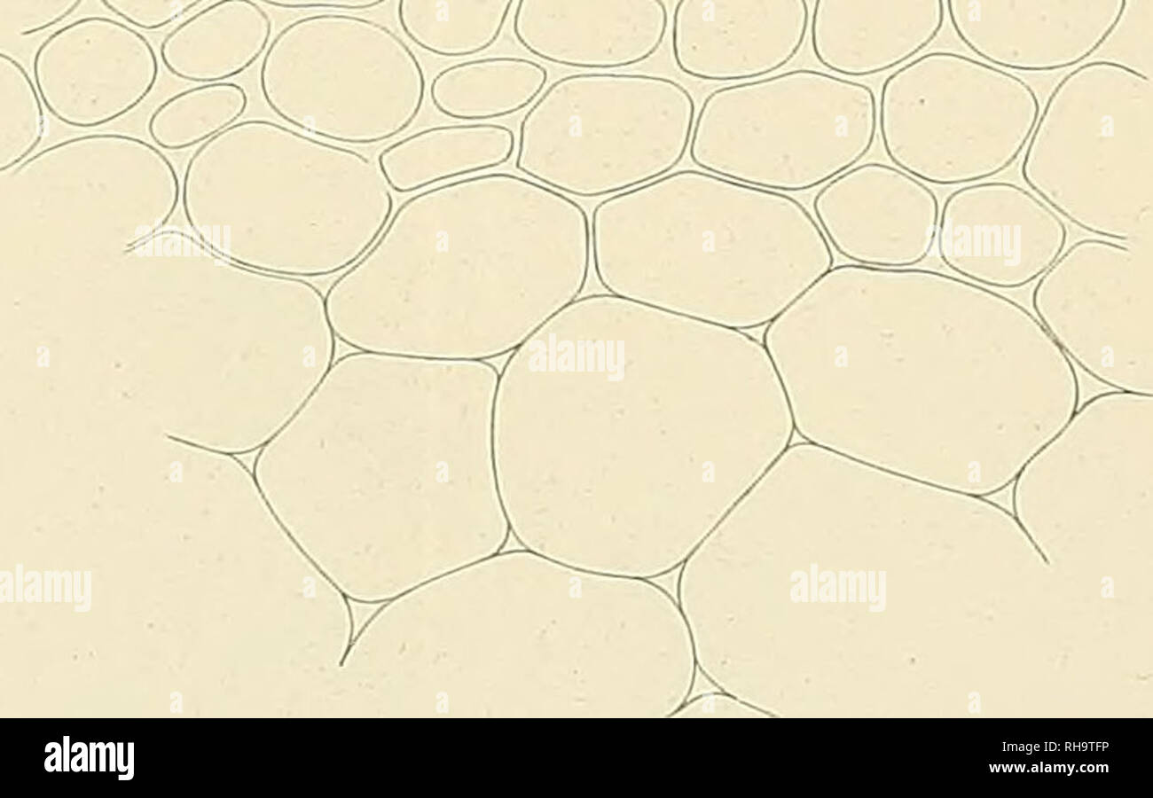 Qa Fa High Resolution Stock Photography And Images Alamy