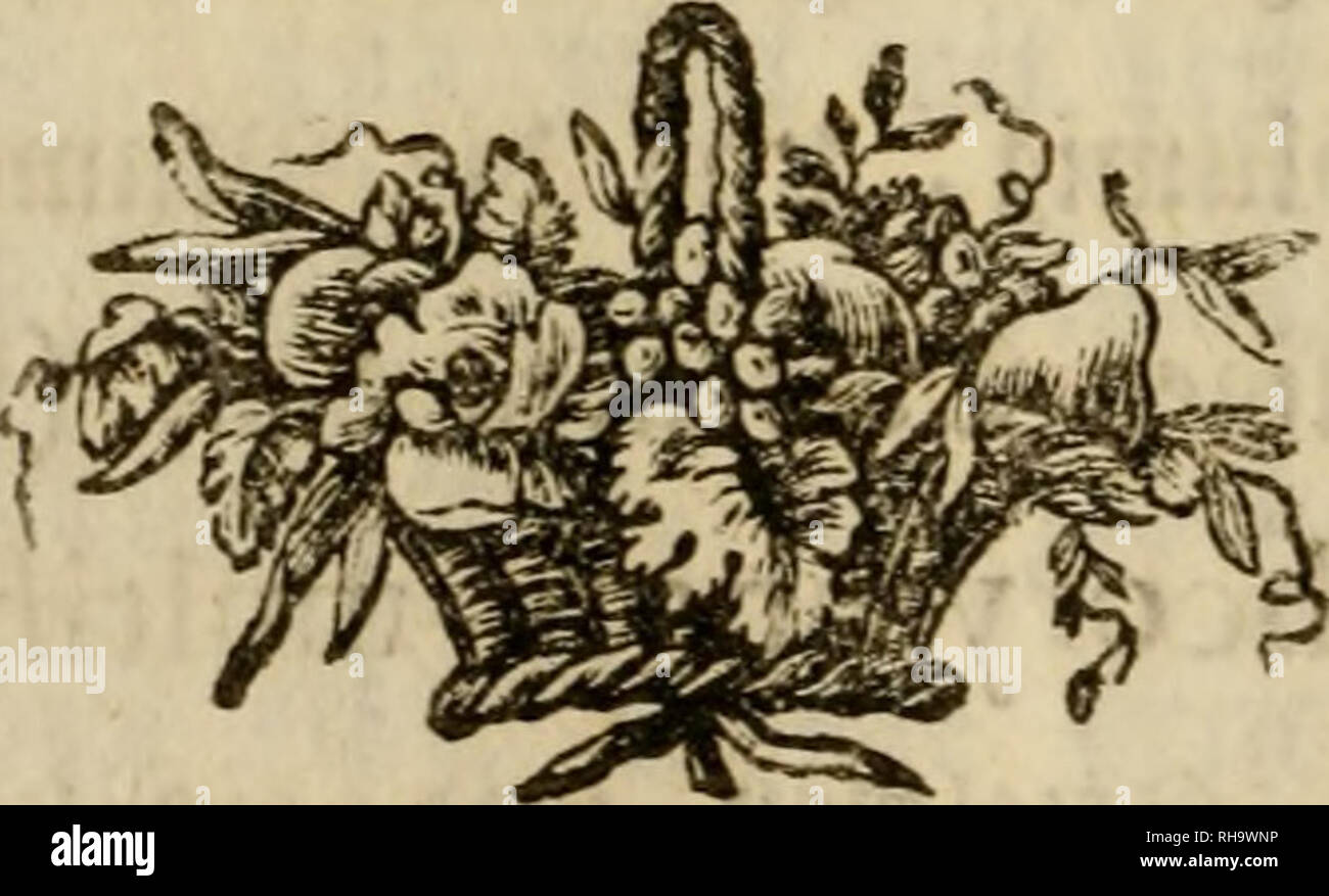 . Botanische Reisen nach einigen Oberkärnternischen und benachbarten Alpen unternommen. Botany. 116 um tte^6iftef(ftnec, fmMitm, offeit, mit gel^ Un, lanittaxti^tnf flachen, ganzen, ten ^elcfeab» fftnUteit tt&gt;e(i&amp;fert»eife aufltg^nben Q3rumenMätterrT. etauUthm fwttf/ fn^^Jfc öl^ t)« :^el(5, jtriicftett ten 23lumenWättecn ten ÄefdSiaHcfiiütten angeirad)* fett. Die S^t&gt;en pfriemenftrmig, tceiß, Me JöeuteC xmUid), mi^* 5ru(?)tfnoten fünf, glatte, rin^ fenavtige, mit einem furzen ©riffel an ter Seite, unb einfacjec S^ar^e. SuJifdien tiefe« fcud&amp;ttragenbett gcudjtfnoten {t&amp;ett tj Stock Photo