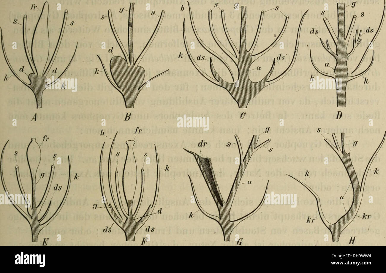 Symmetrischer hires stock photography and images Alamy