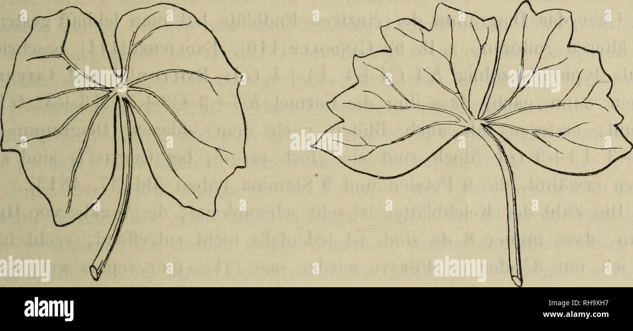 . Botanische Jahrbu?cher fu?r Systematik, Pflanzengeschichte und