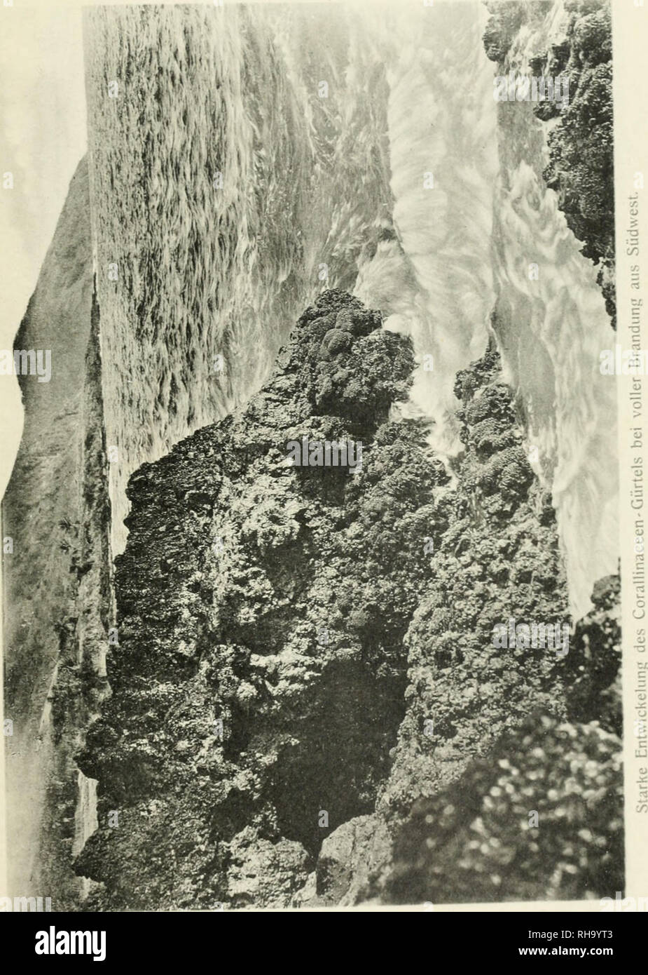 Duke adolf friedrich mecklenburg schwerin hires stock photography and