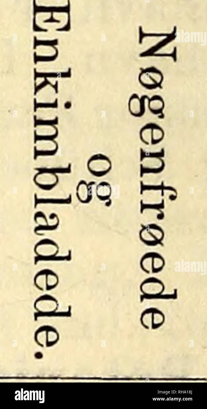 Botanisk Tidsskrift Botany Plants Plants H O S I I Y O S3 To M O Et Cd O 02 Cd W Ai G 5 O It O W Lt L Quot 3 8