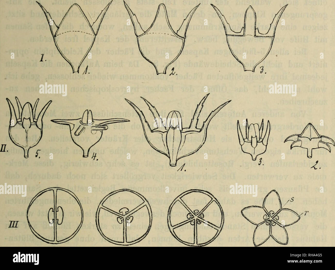 Ovale hohe form hires stock photography and images Alamy