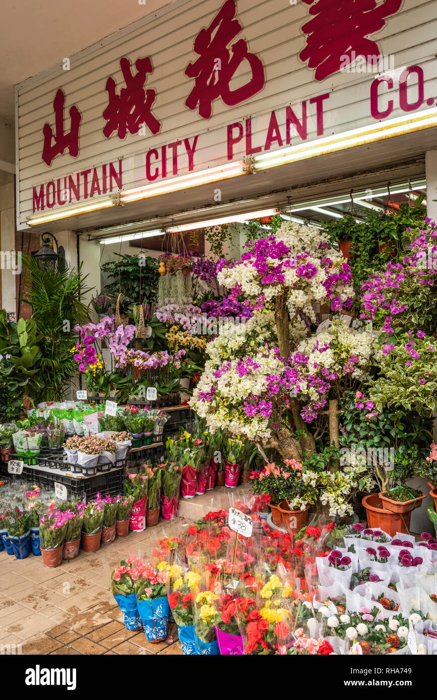 Flower shop at the Flower Market in Kowloon, Hong Kong, China, Asia