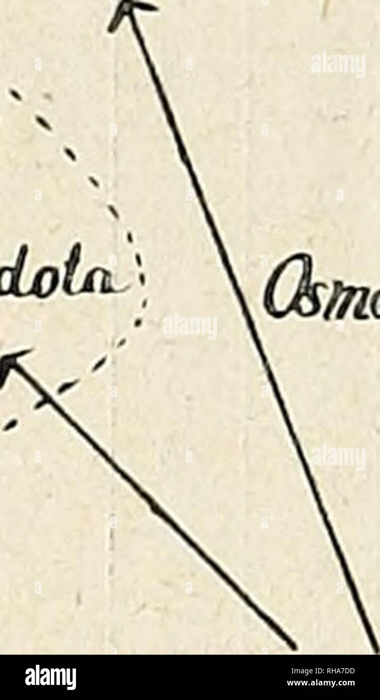 Page 4 j High Resolution Stock Photography And Images Alamy