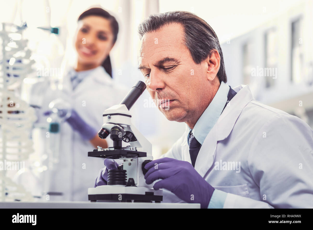 Old chemist wearing gloves working in laboratory Stock Photo