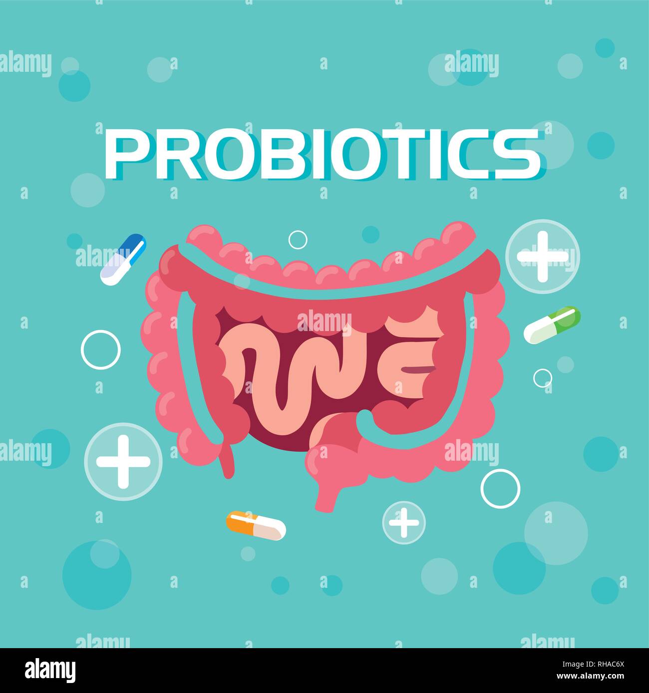 digestive system with probiotics medicines vector illustration design