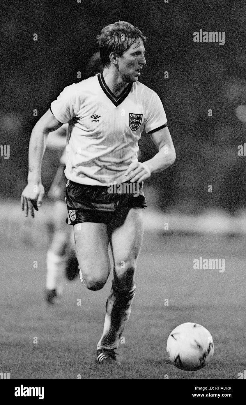 Gary stevens hires stock photography and images Alamy