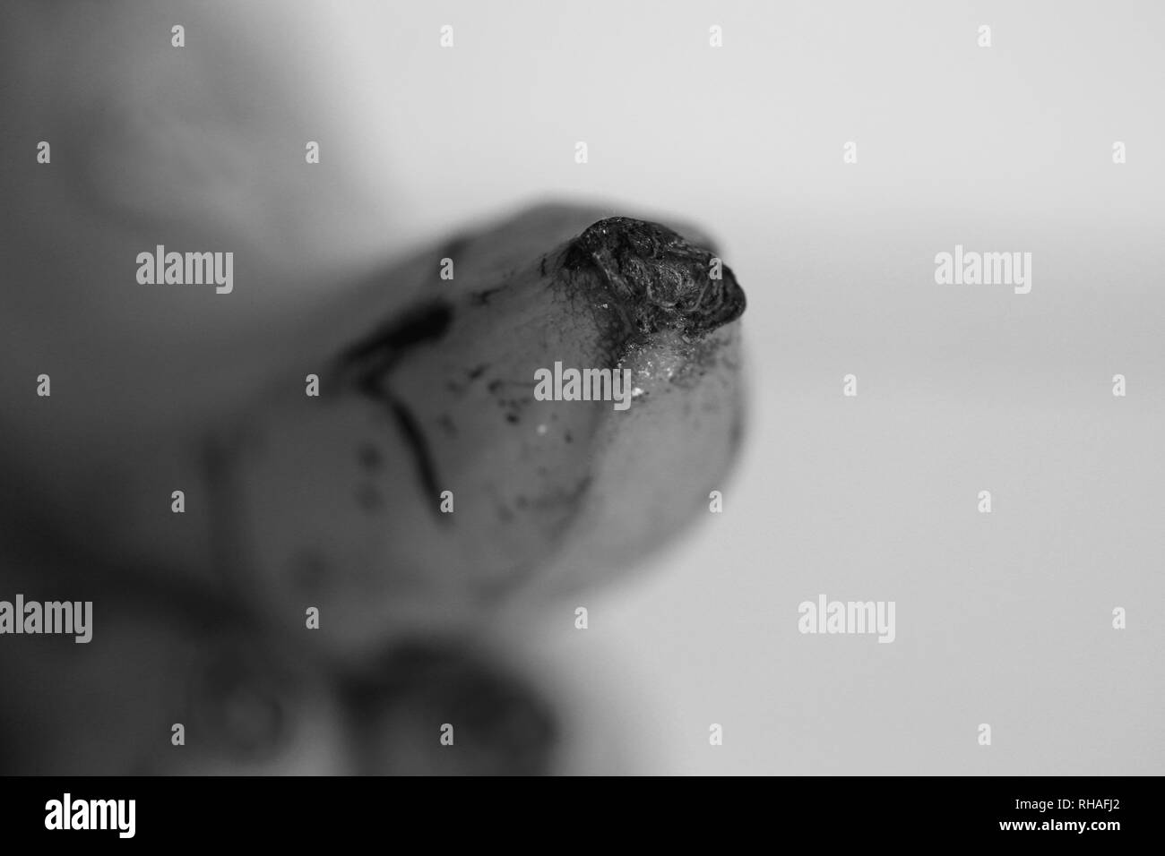 Closeup photo of bananas. Taken with macro objective to show all the smallest details. The bananas are very ripe. Beautiful black & white image. Stock Photo