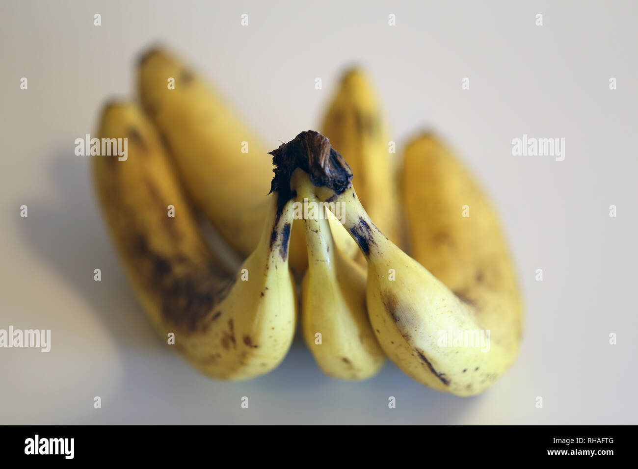 Closeup photo of bananas. Taken with macro objective to show all the ...