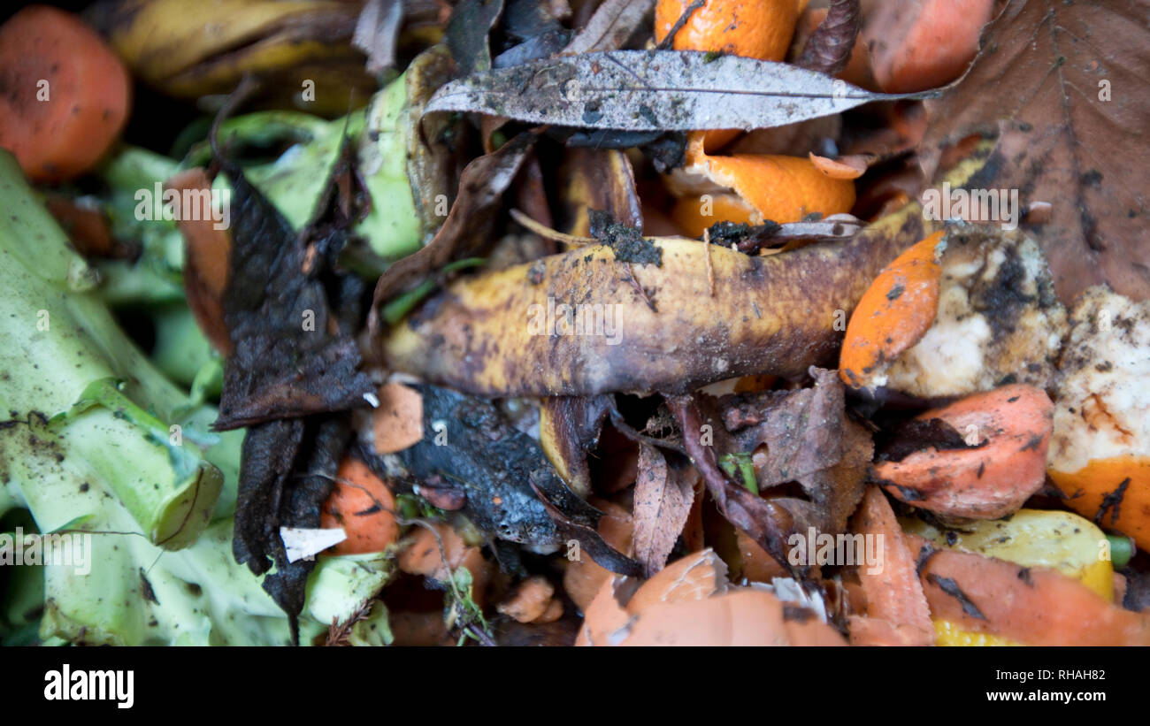 Kitchen food waste in the process of composting Stock Photo