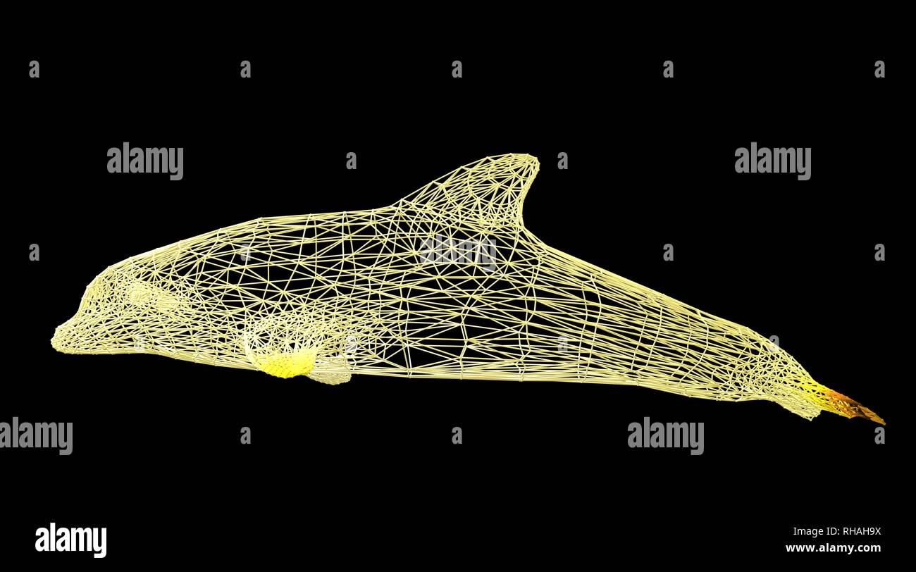 3d rendering of an animal wireframe isolated on a black background ...